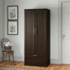 Aliaya 2 Door Cabinet with Drawer