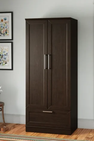 Aliaya 2 Door Cabinet with Drawer