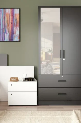 Dragone Mirrored 2 Door Wardrobe